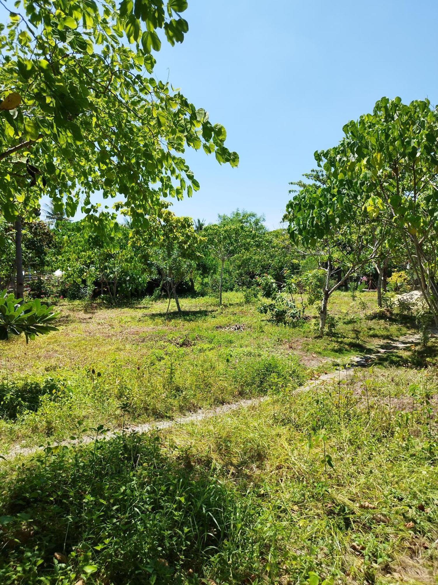 Celtis Resort Đảo Malapascua Ngoại thất bức ảnh