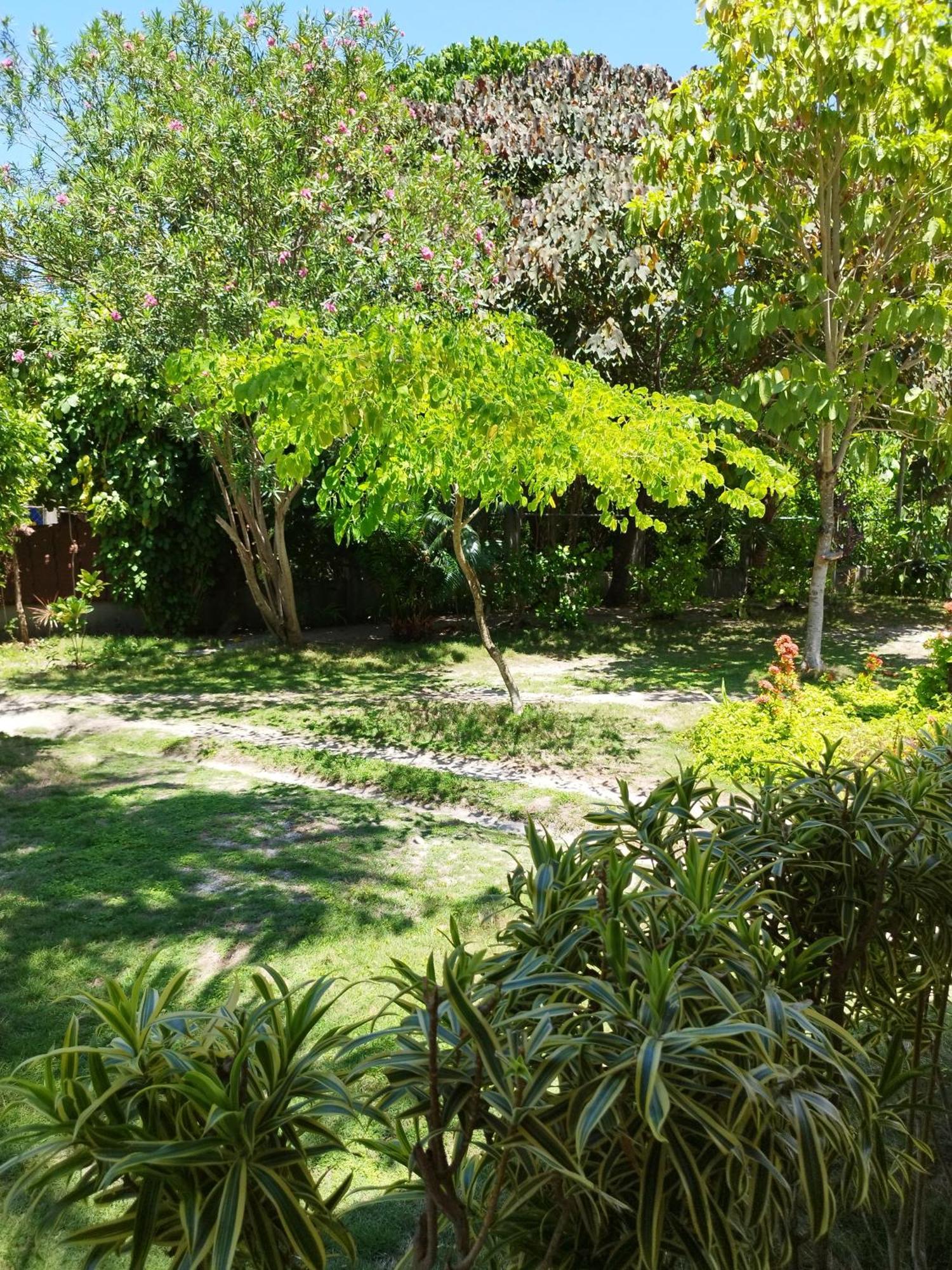 Celtis Resort Đảo Malapascua Ngoại thất bức ảnh