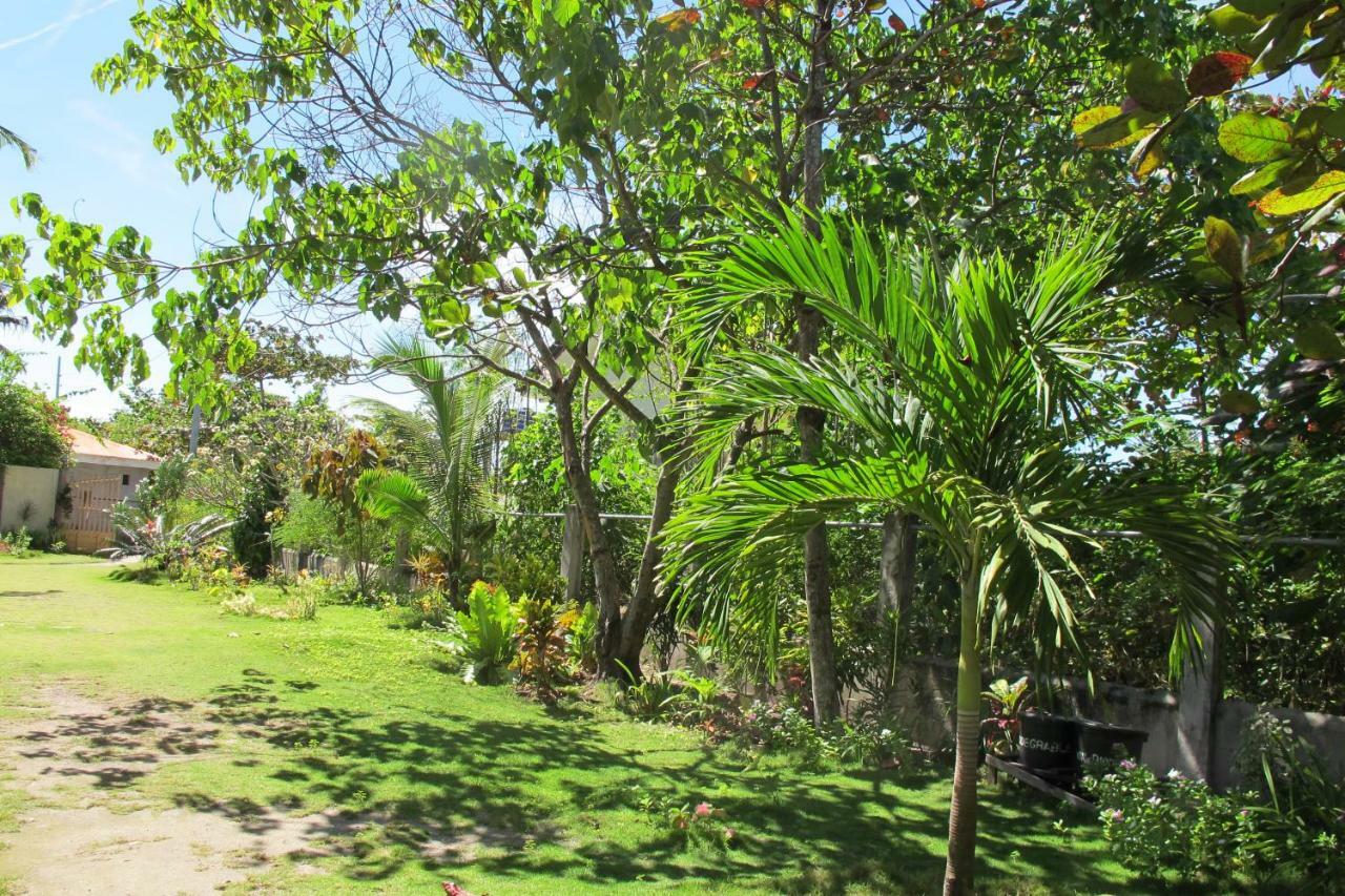 Celtis Resort Đảo Malapascua Ngoại thất bức ảnh